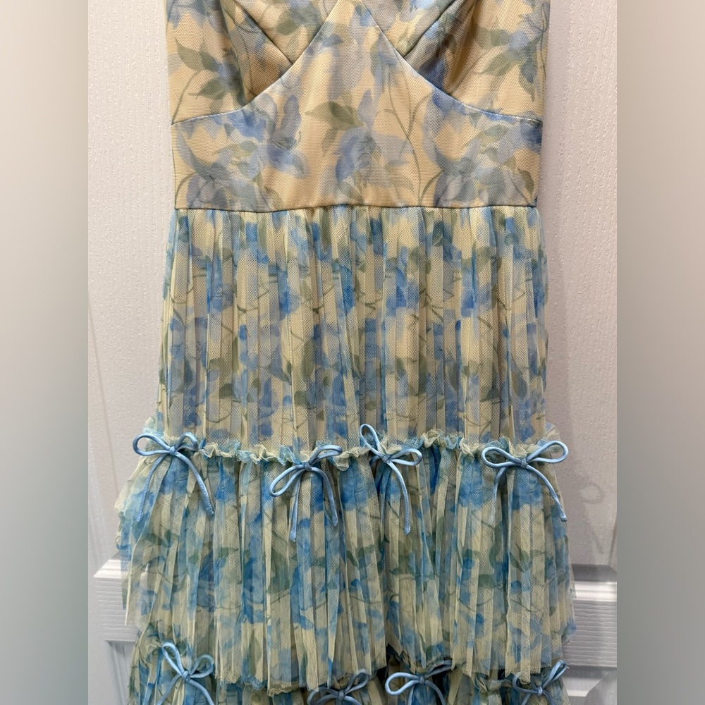 Hutch Watercolor Vining Daffodils Tulle  Dress Colors: Ivory/Sky Size 2 NWT - Picture 6 of 9